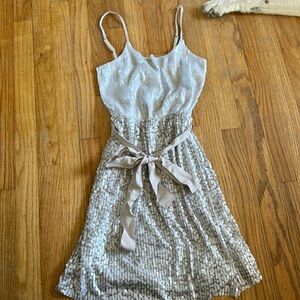 Never worn sequin dress. Champagne color. Express. Tags attached